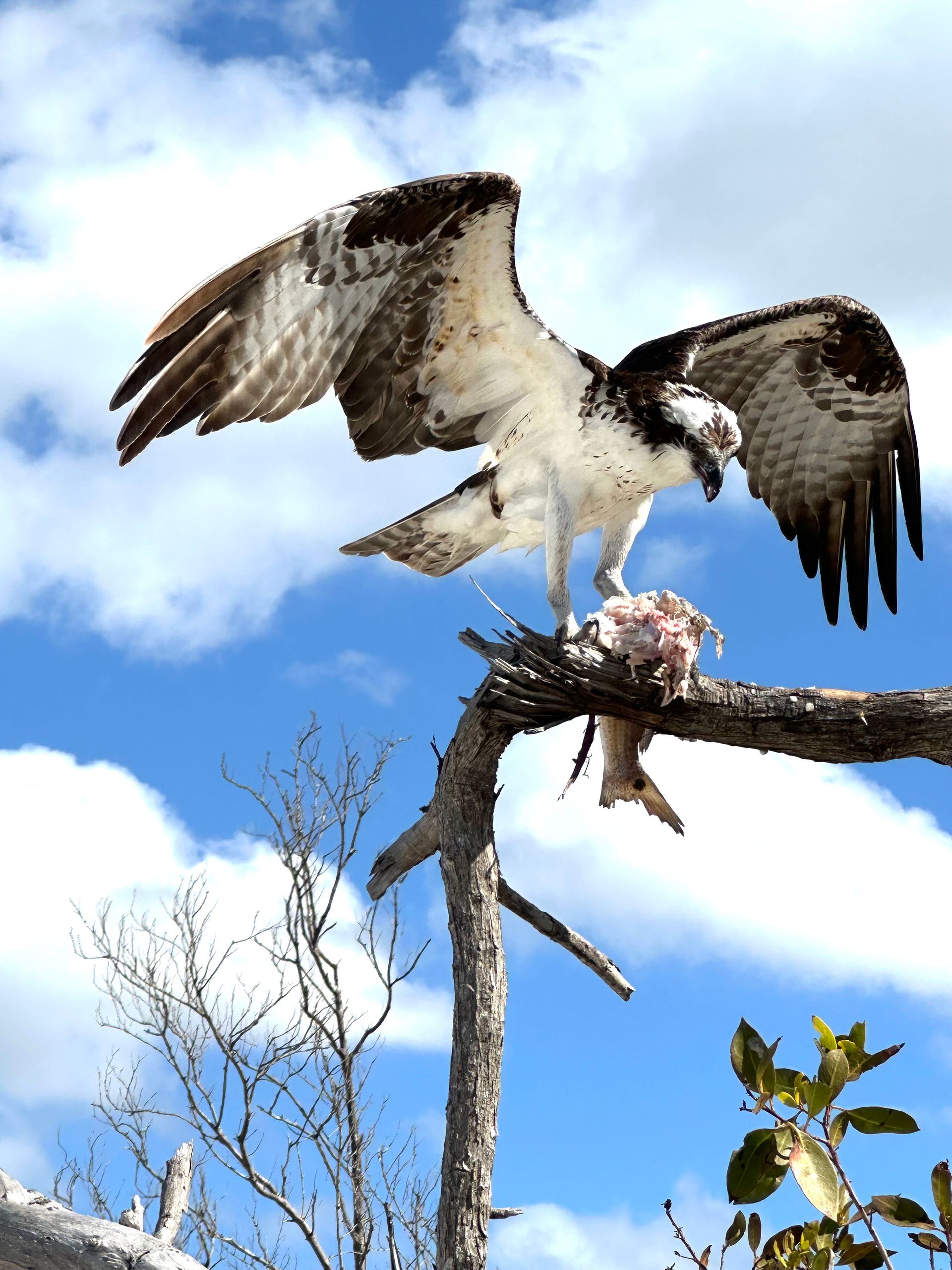 Lovers Key State Park