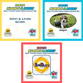 Adopt-A-Nest Program Leatherback Level