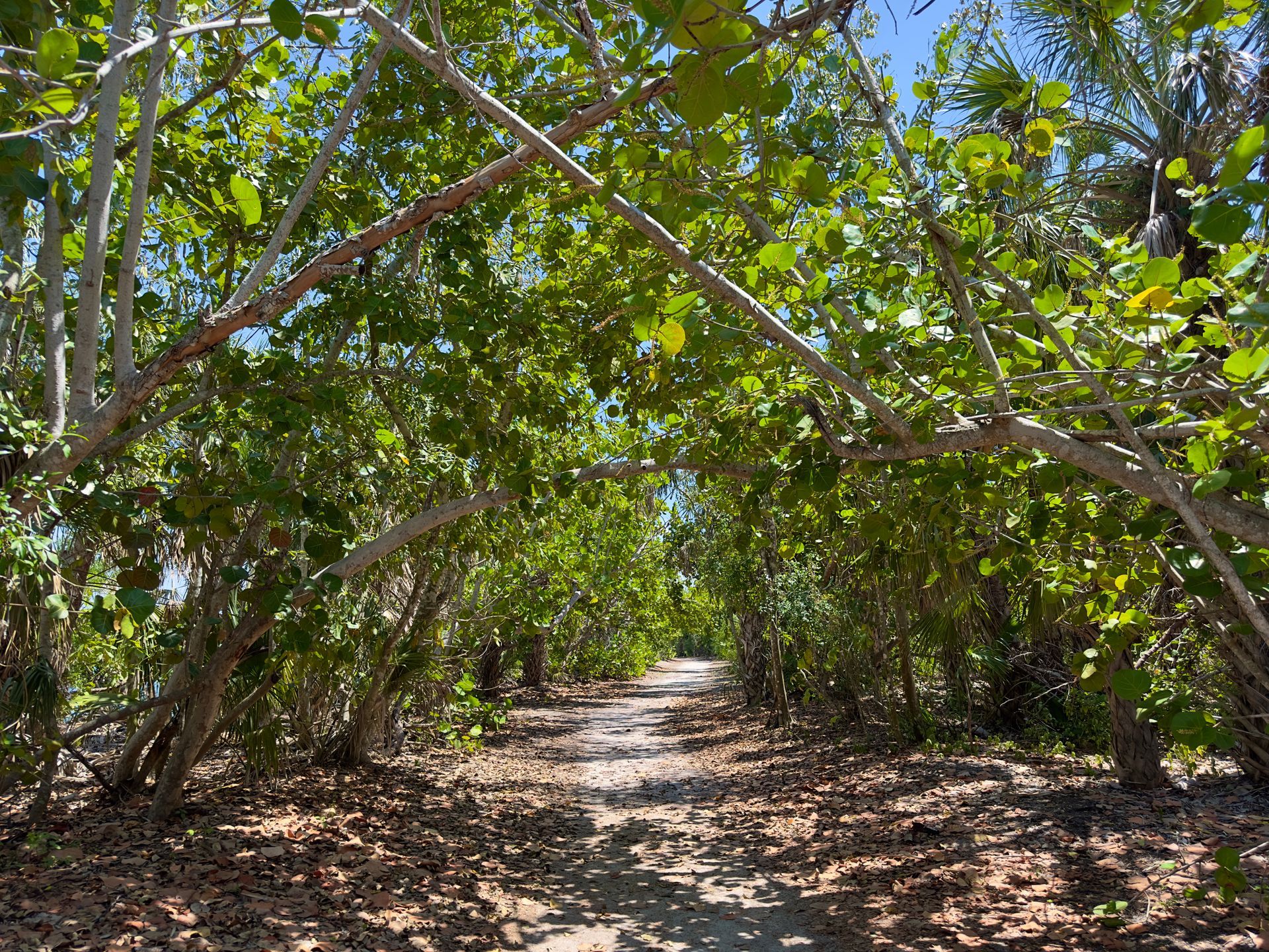 Lovers Key State Park