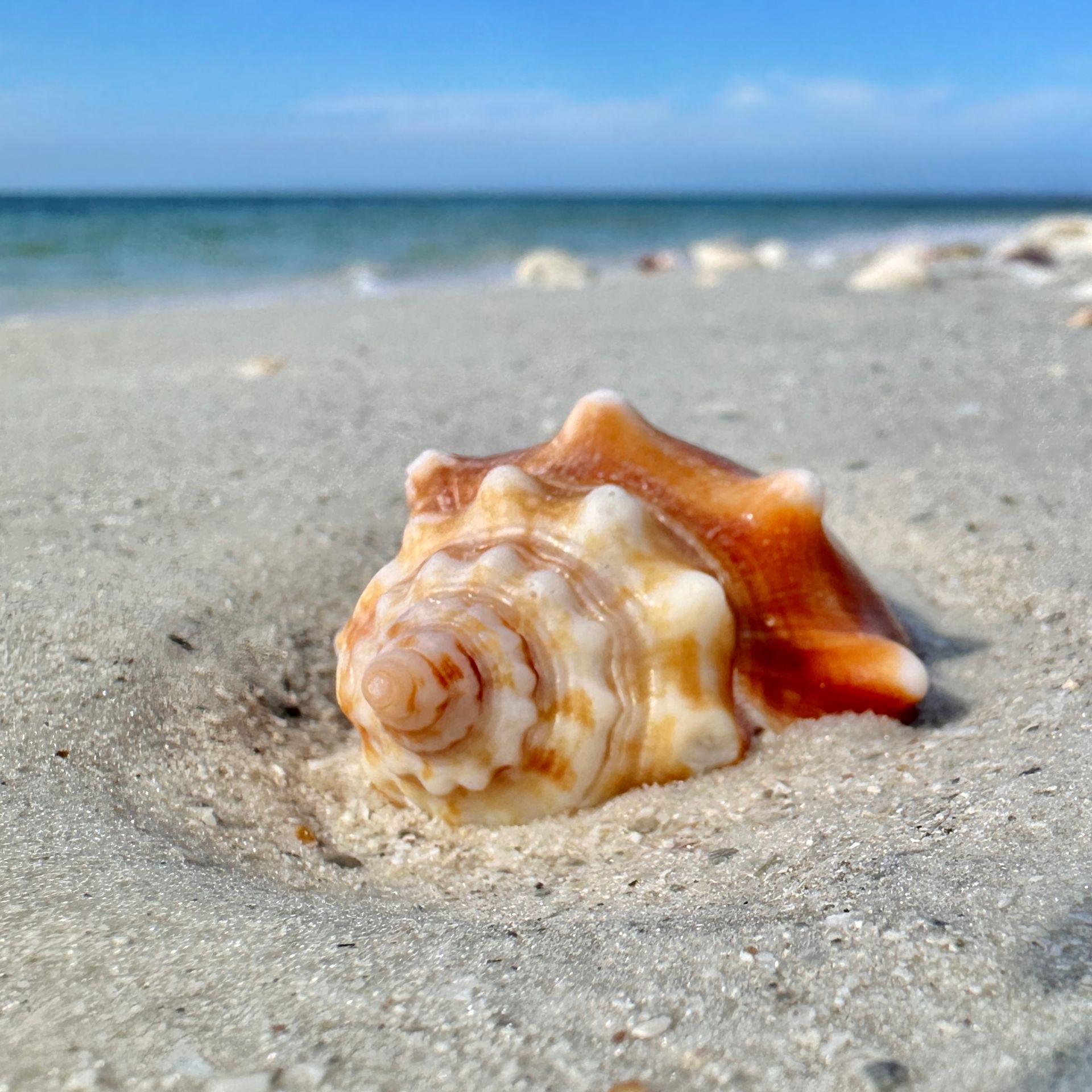 Lovers Key State Park