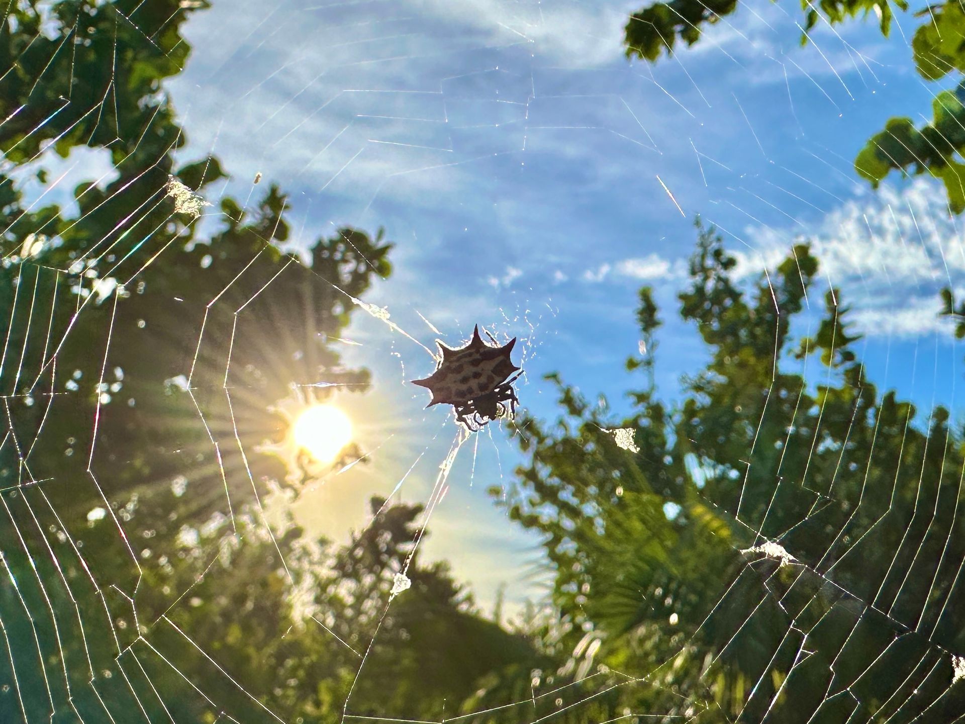 Lovers Key State Park