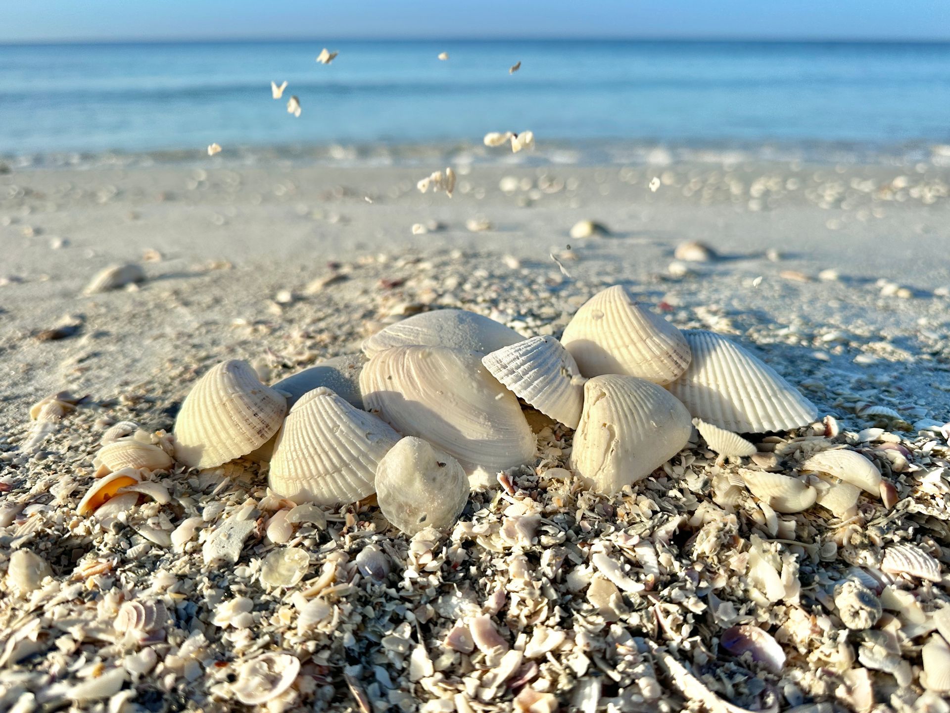 Friends of Lovers Key