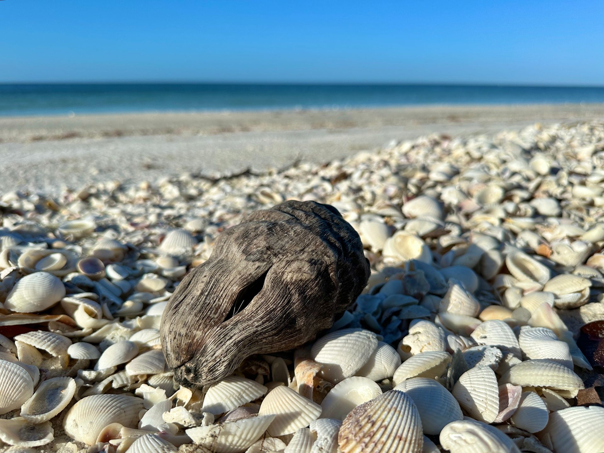 Friends of Lovers Key