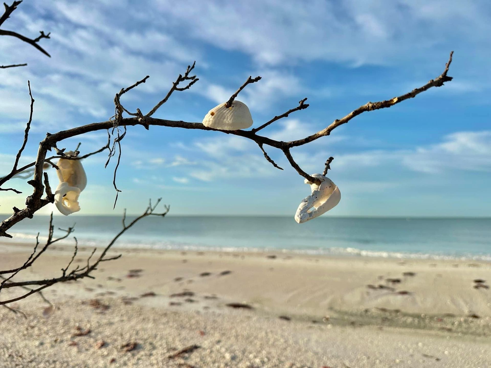 FOLK Board Minutes- August 2025