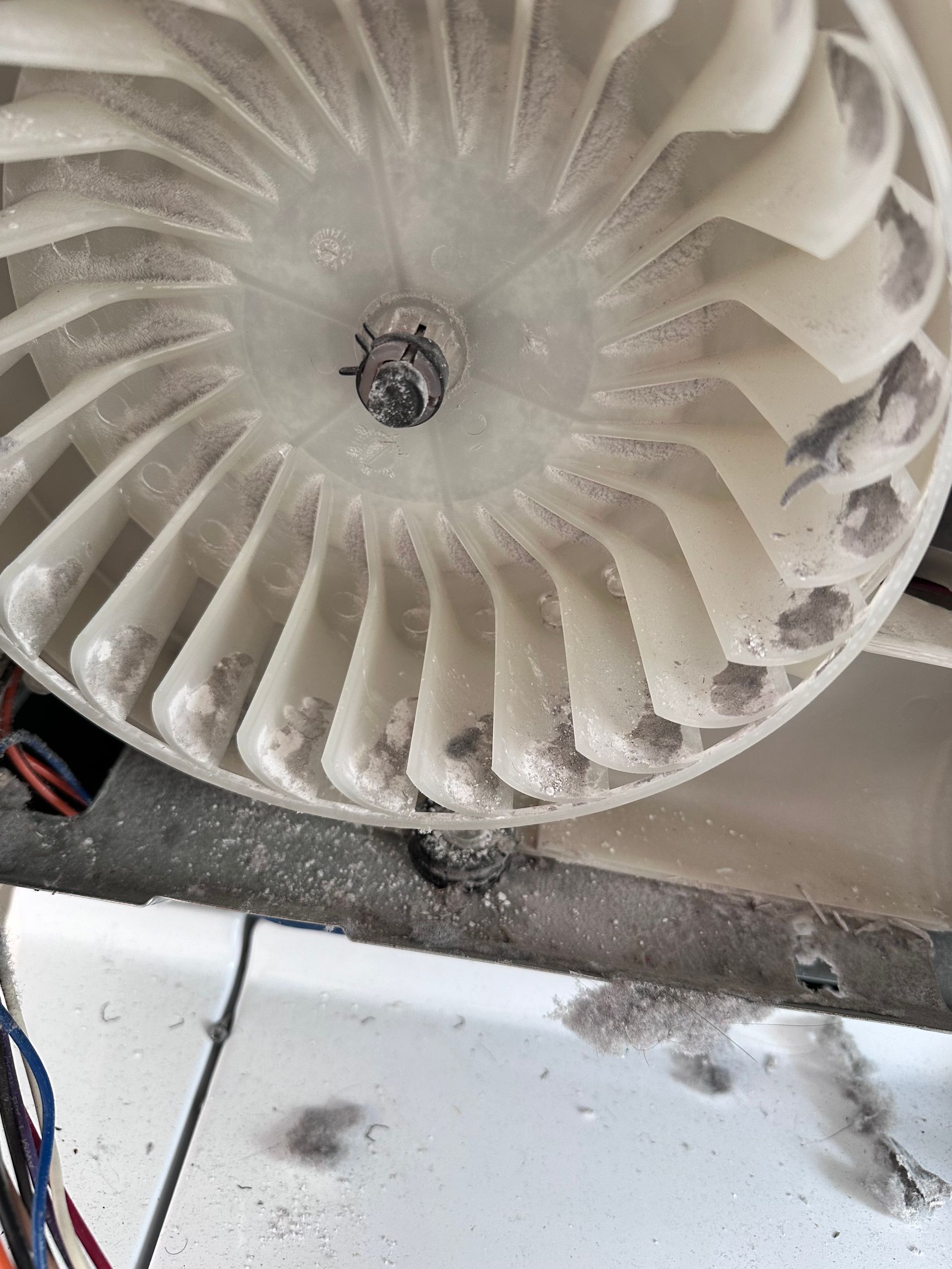 A close-up view of a dryer's blower fan. The white fan blades are coated with dust and debris.