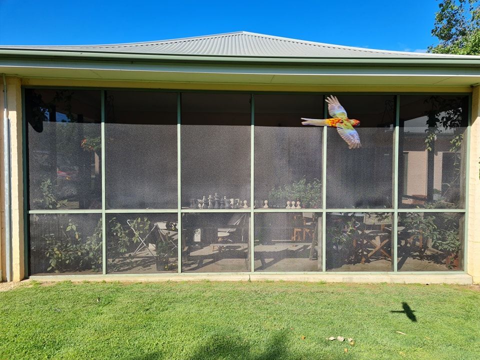 Screened patio with a green lawn, decorative bird, and glimpses of interior furniture.