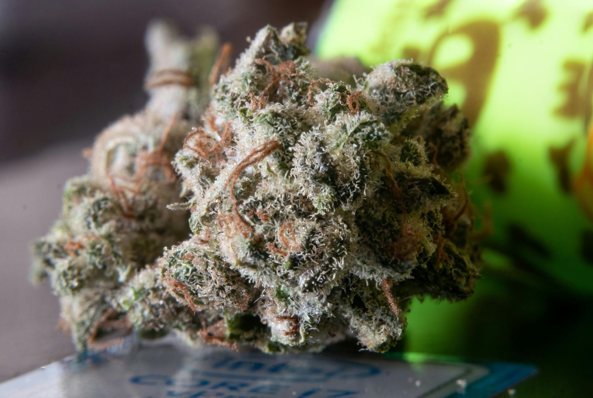 marijuana bud, green with crystals and orange hairs