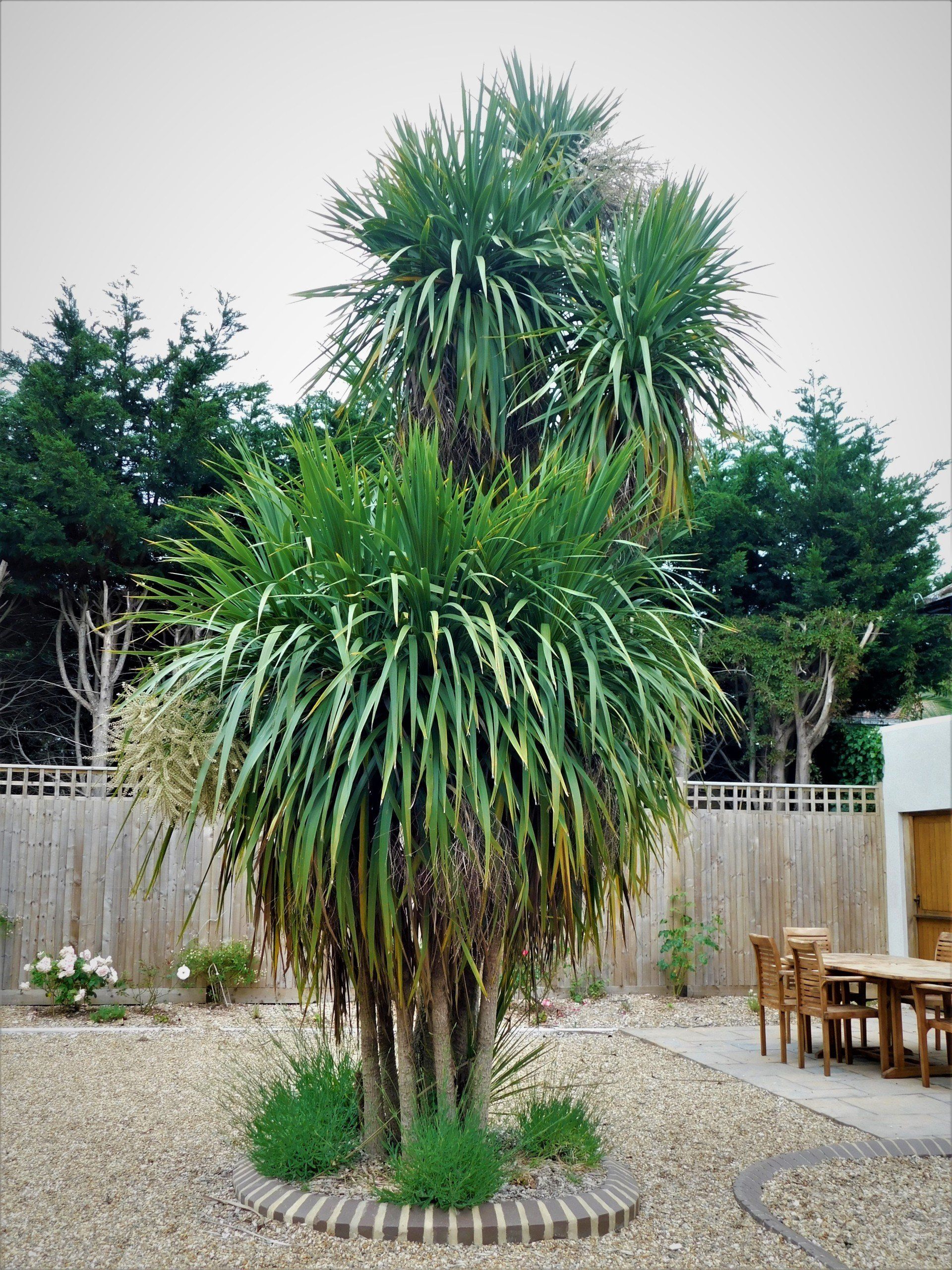 The Garden House Holiday Lets Goodwood