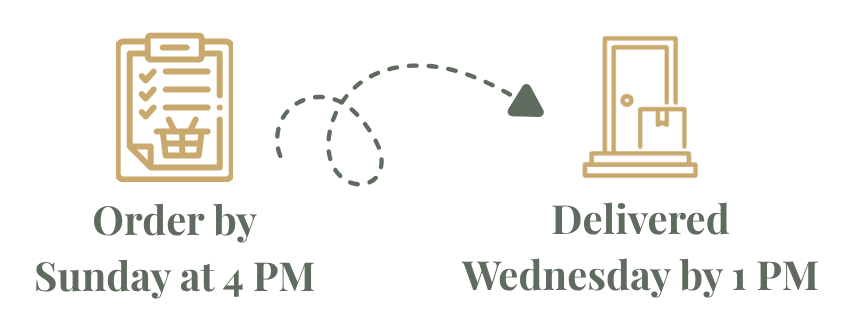 Weekly meal delivery schedule with ordering and delivery timeline