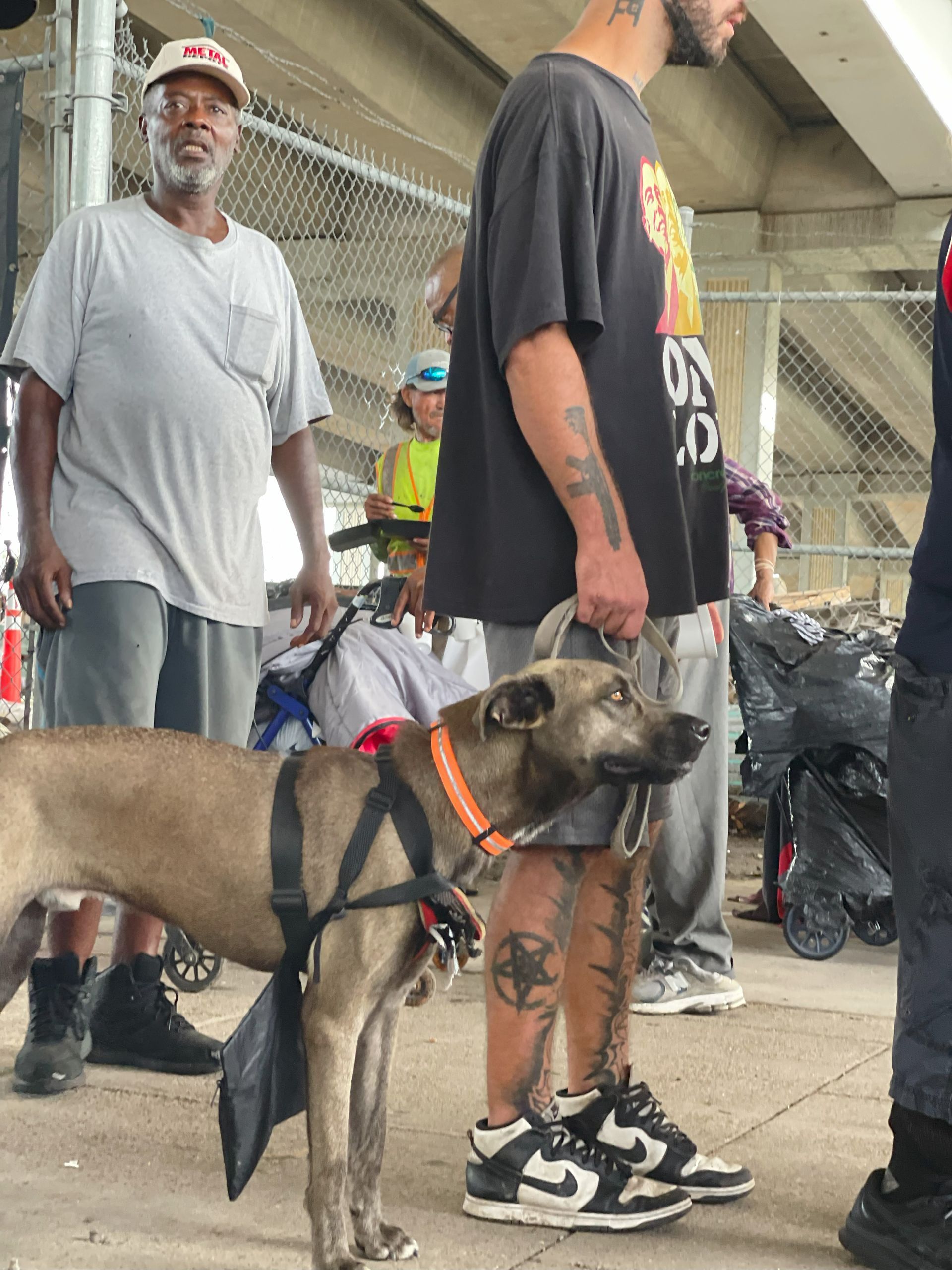 A man with a tattoo on his arm stands next to a dog
