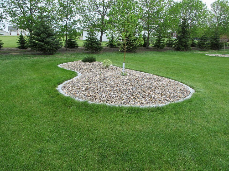 Gravel bed with small plants in a grassy yard, bordered by concrete. Trees in background.