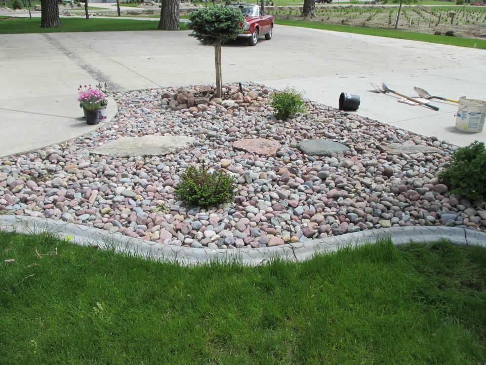 Landscaped rock bed with a tree, shrubs, and stepping stones in a driveway, with a red car visible.
