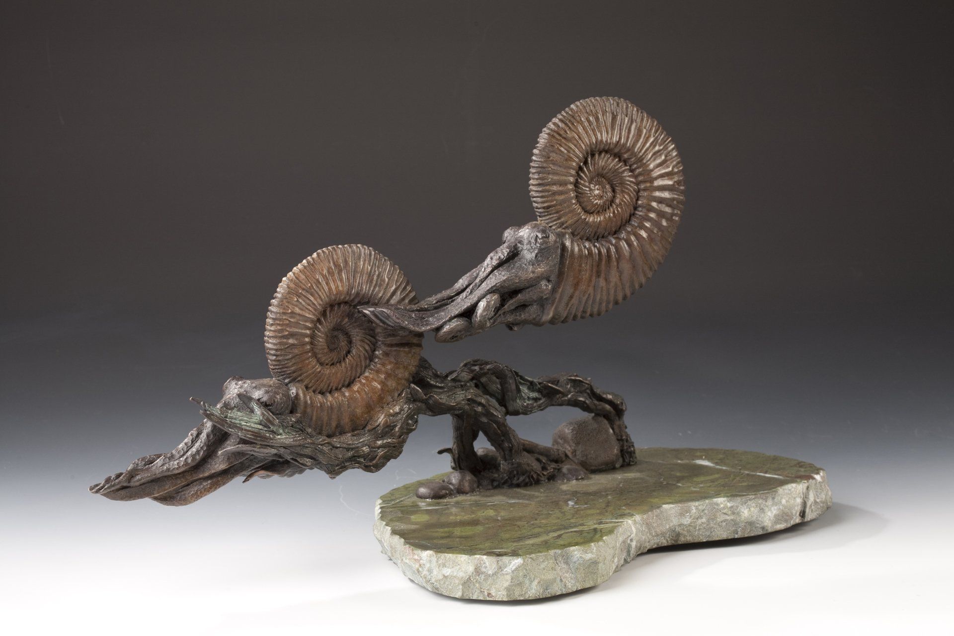 Mesozoic Ammonites
