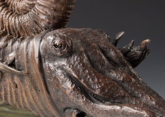 Mesozoic Ammonites close up