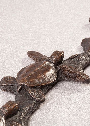 close up vie of bronze green sea turtle hatchlings