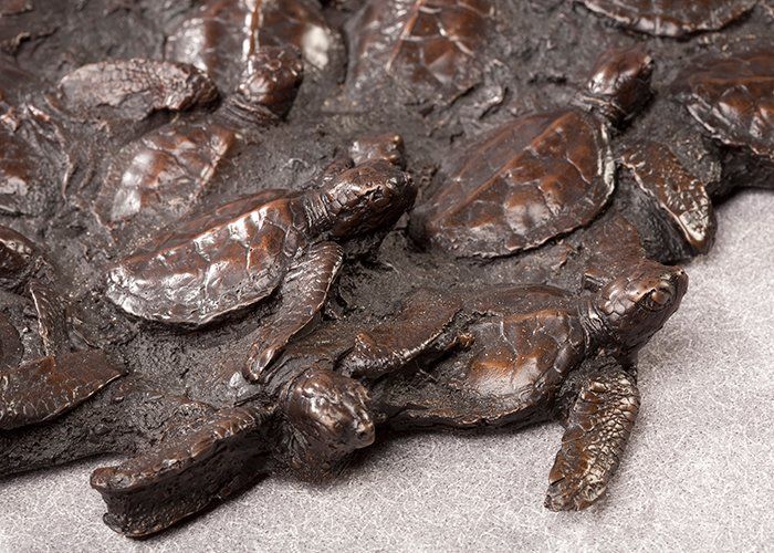 green sea turtle hatchlings bronze close up