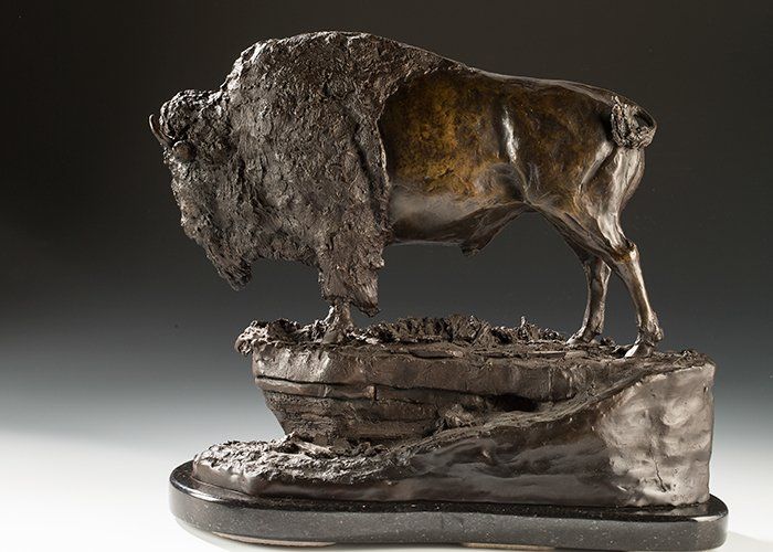 Veteran Bull Bison Bronze Sculpture