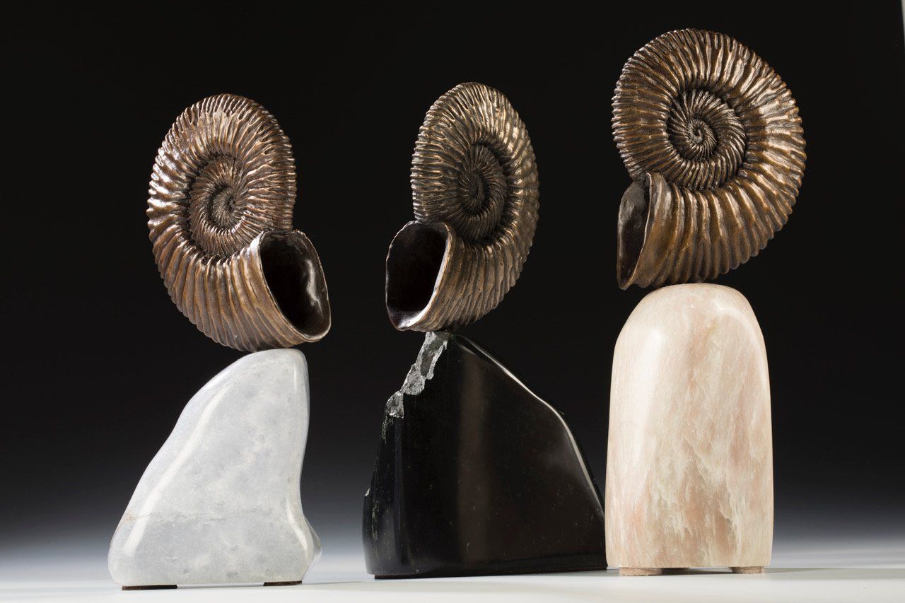 3 sculptures of Ammonite Shells