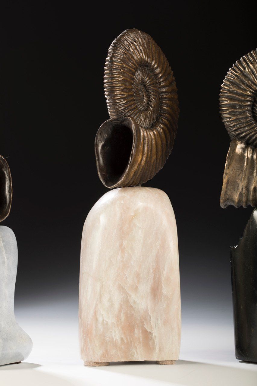 Ammonite Shell on marble base