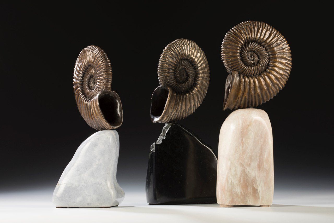 3 Ammonite Shell sculptures