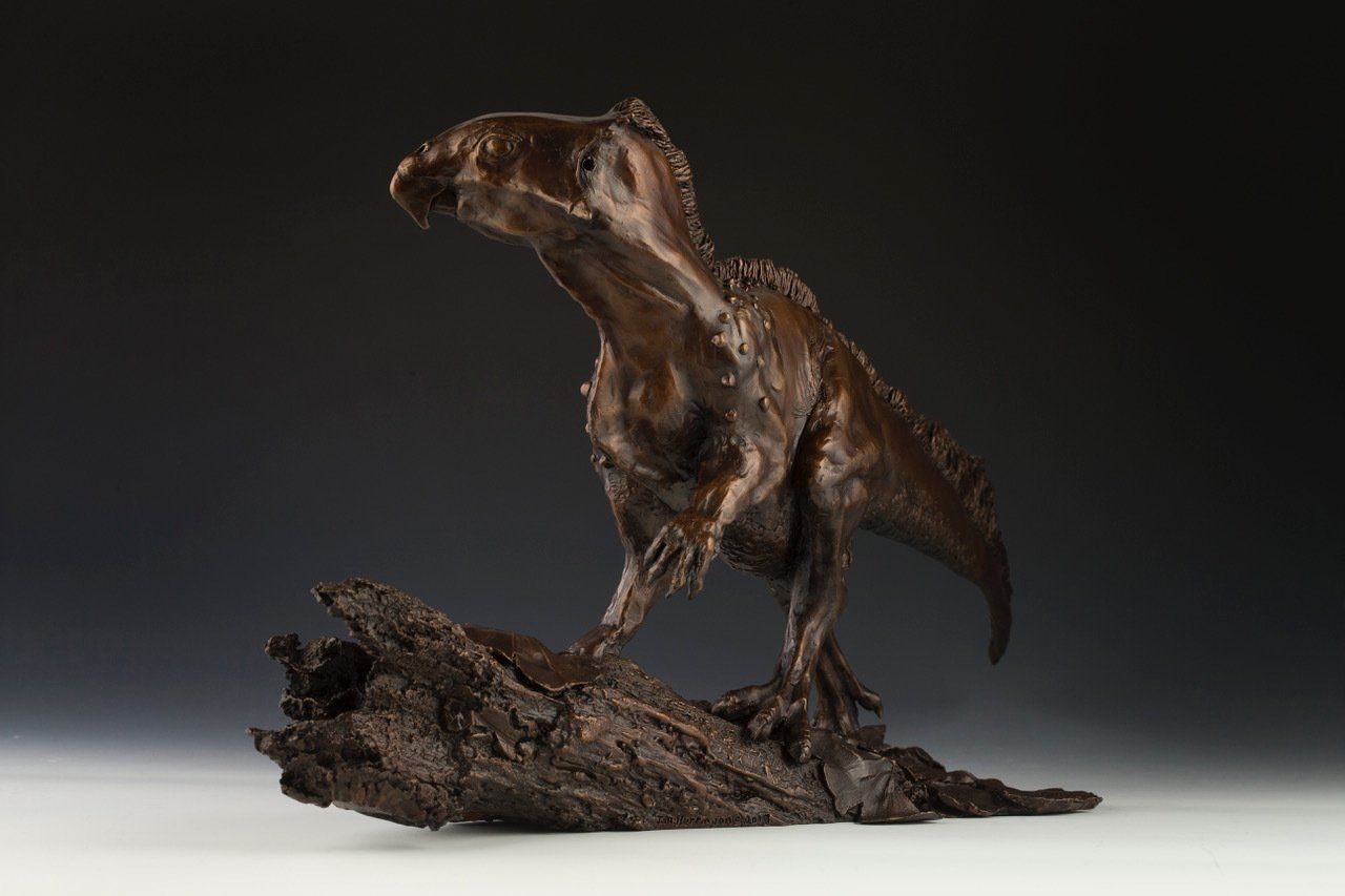 Aquilops Americanus sculpture