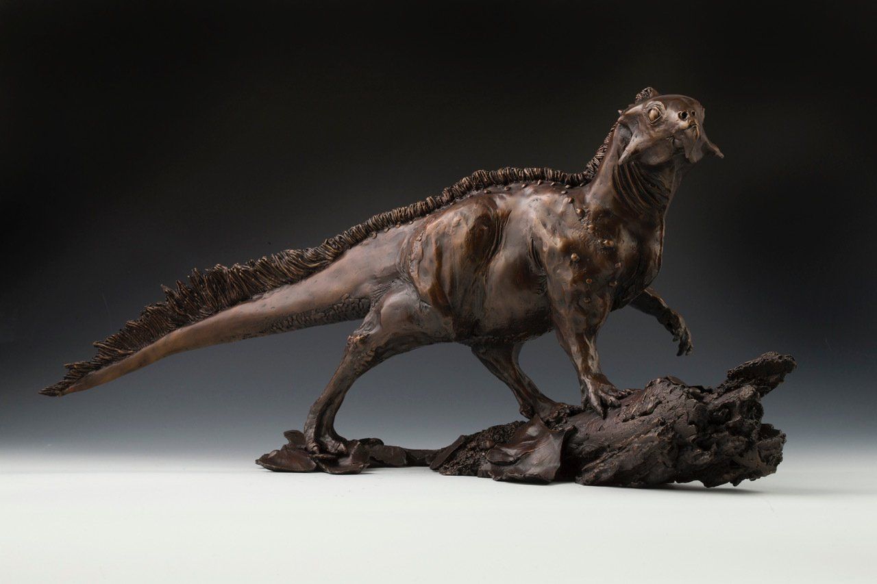 Aquilops Americanus front view