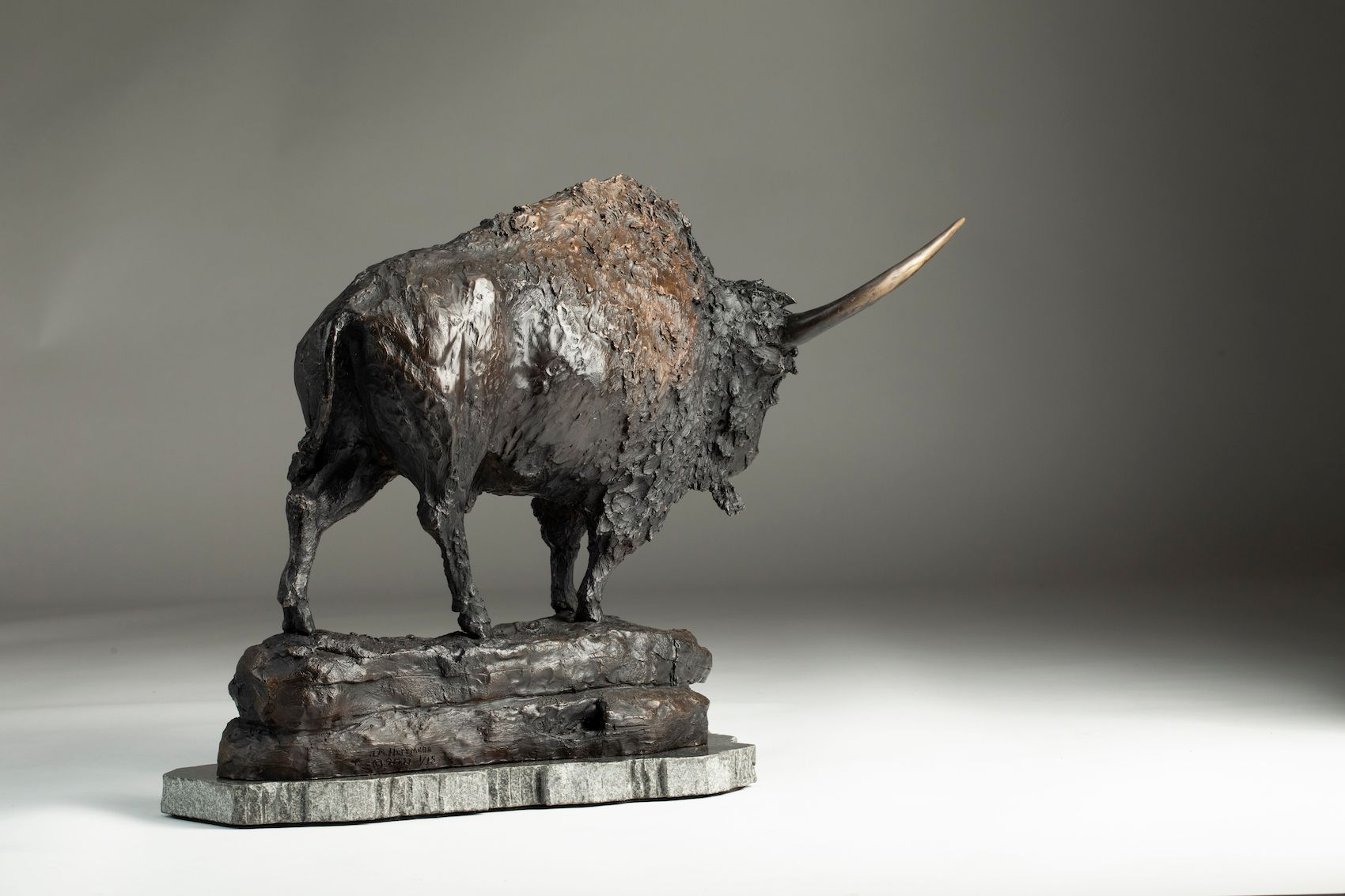 bison latifrons sculpture 360