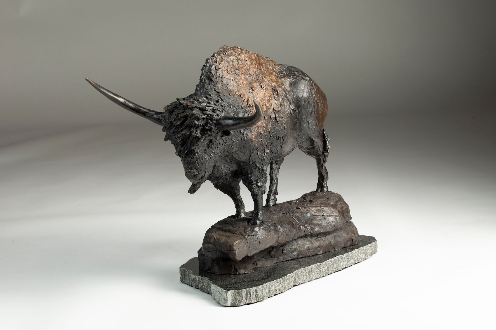 bison latifrons sculpture 360