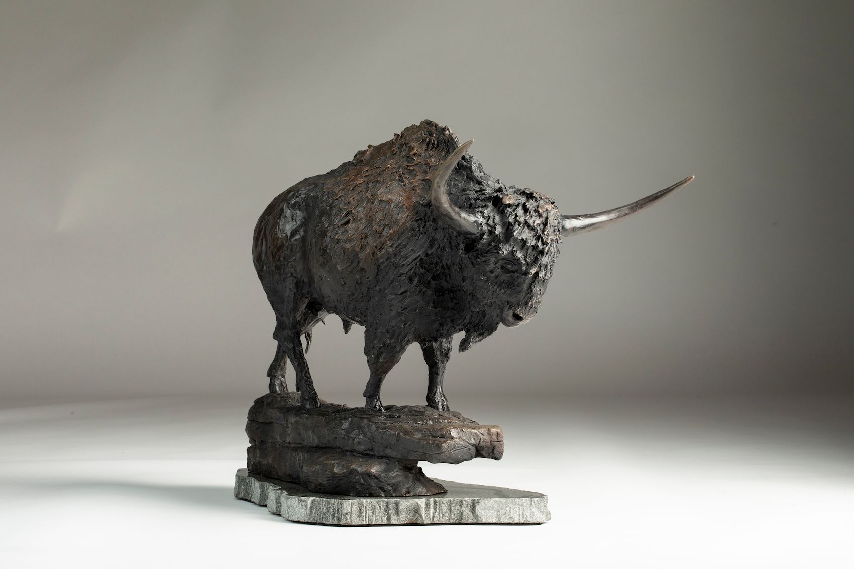 bison latifrons sculpture 360