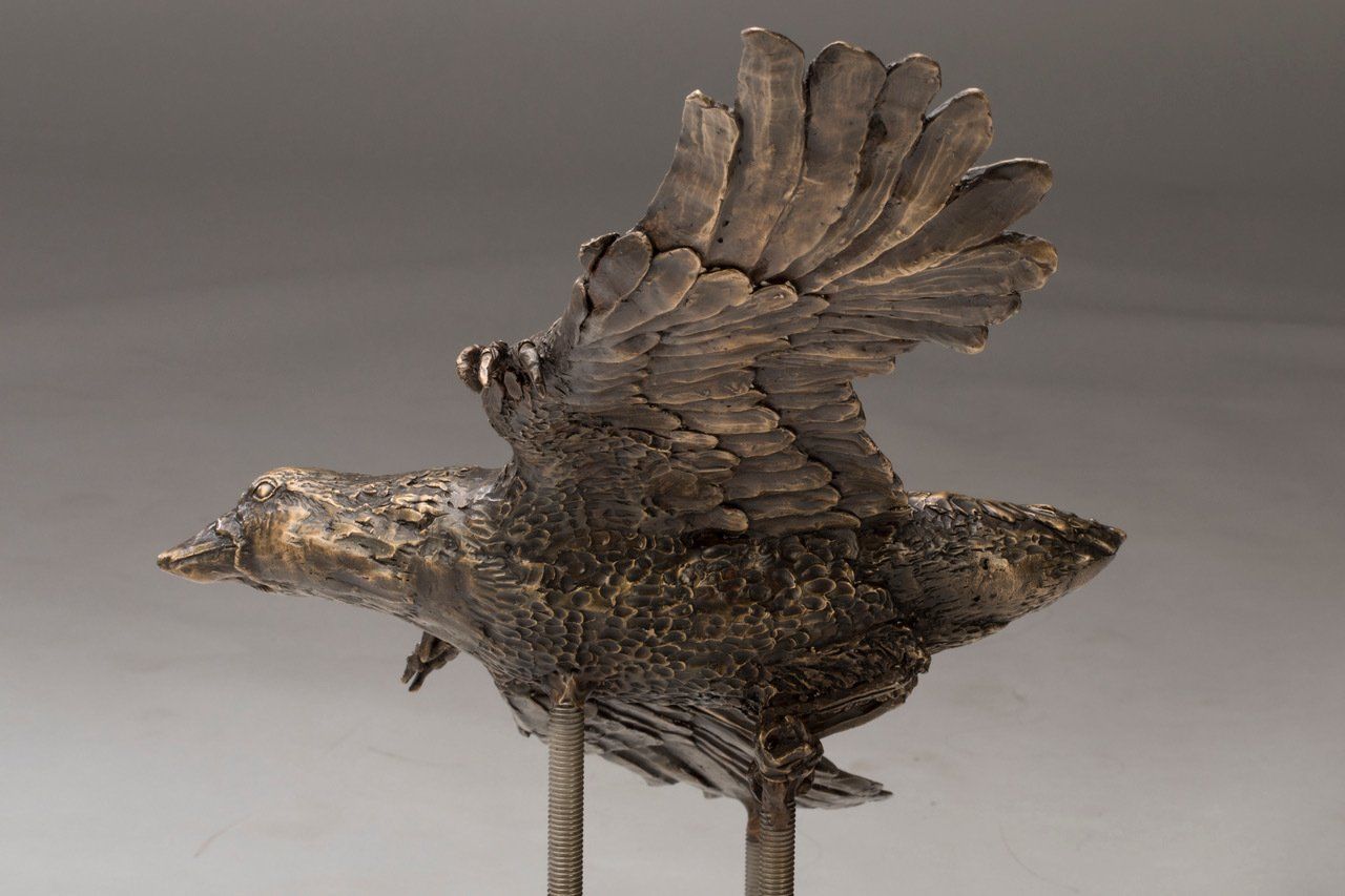 Confuciusornis below view