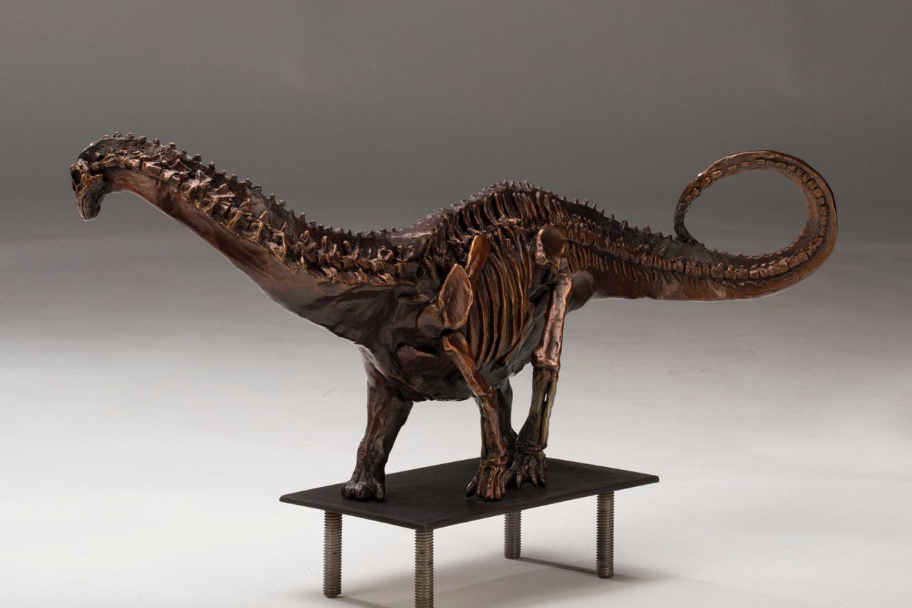 Galeamopus Skeletal View of Study