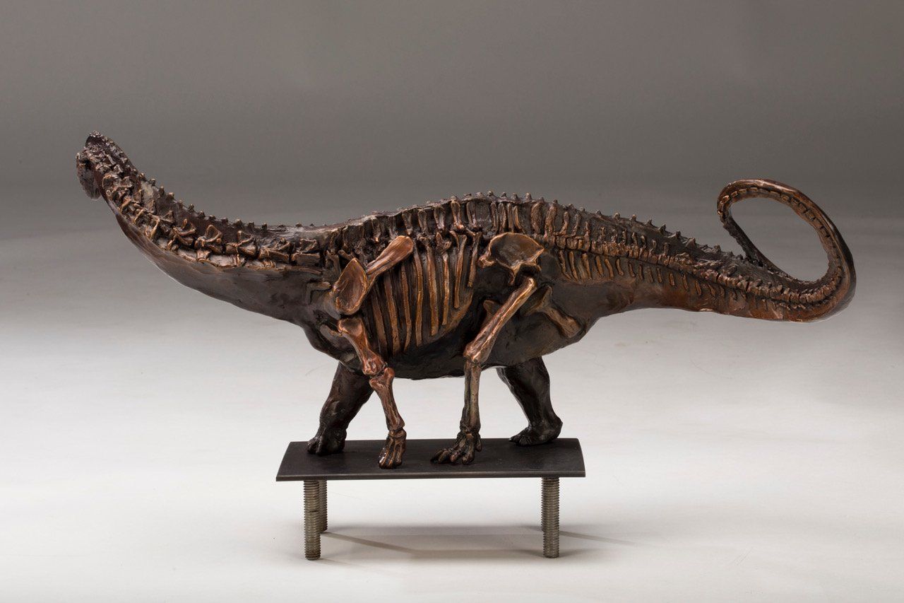 Galeamopus Dinosaur Skeletal Study