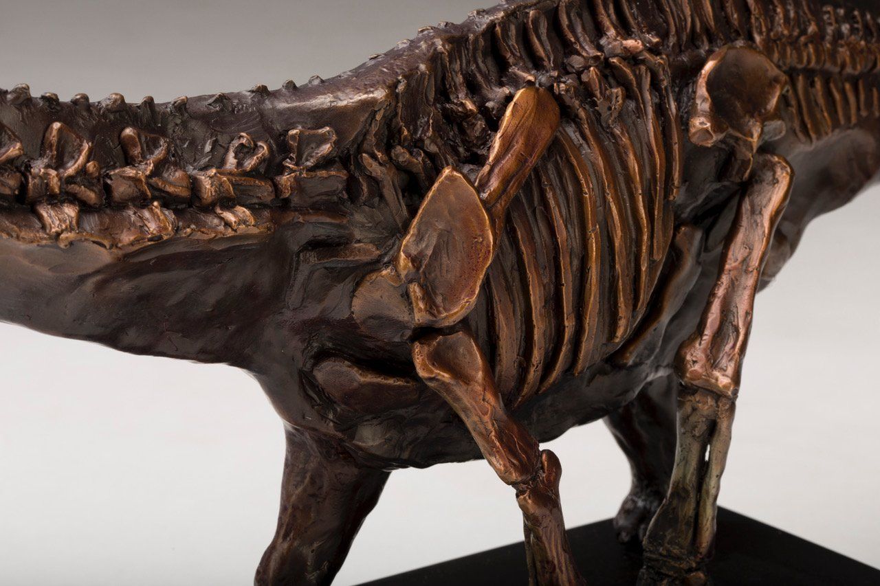 Galeamopus Dinosaur Skeletal Study in bronze