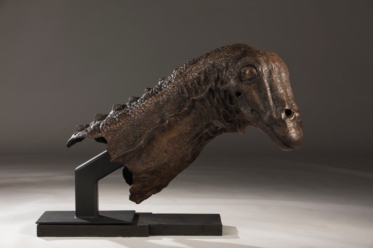 bronze of Galeamopus Bust