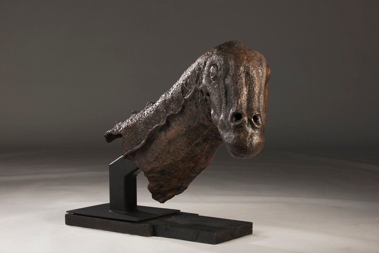 Galeamopus Bust front view