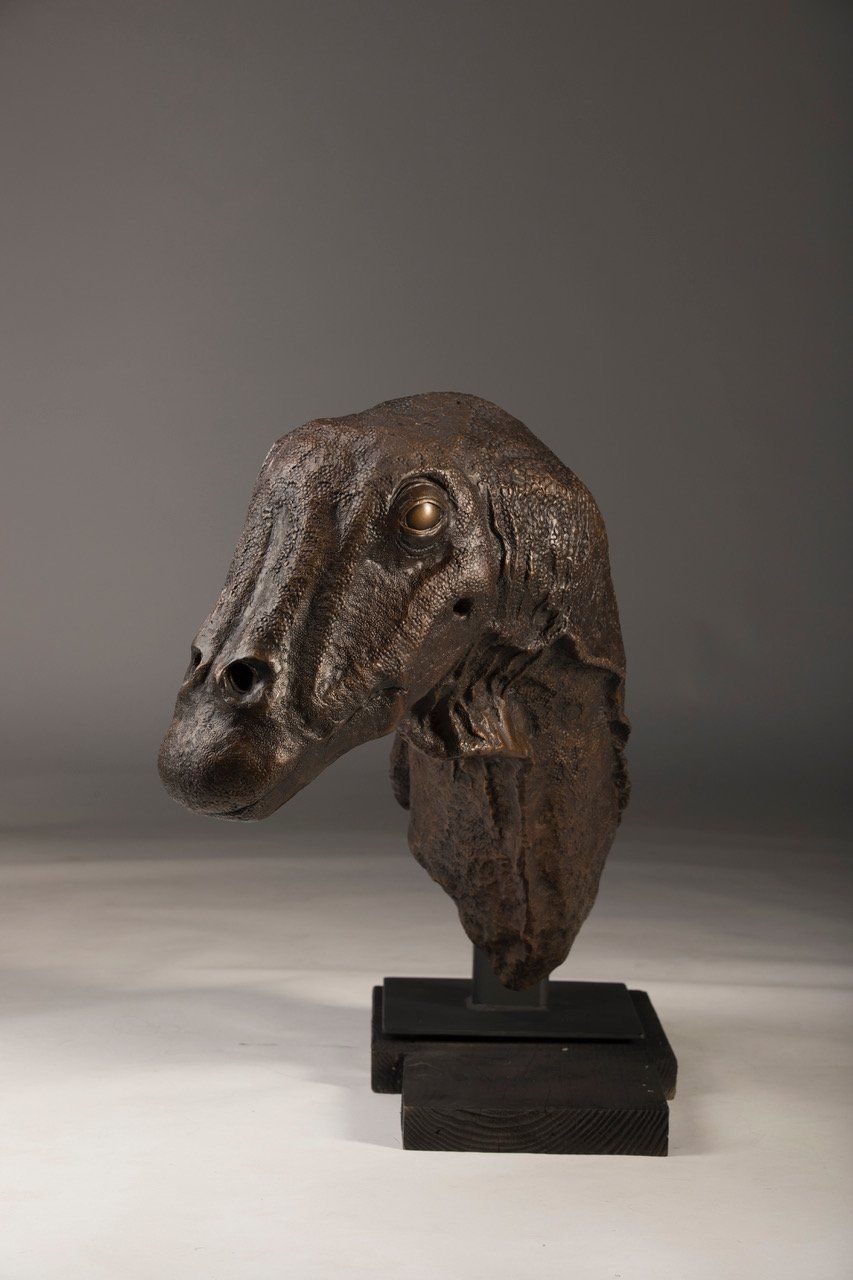 Galeamopus Bust sculpture in bronze