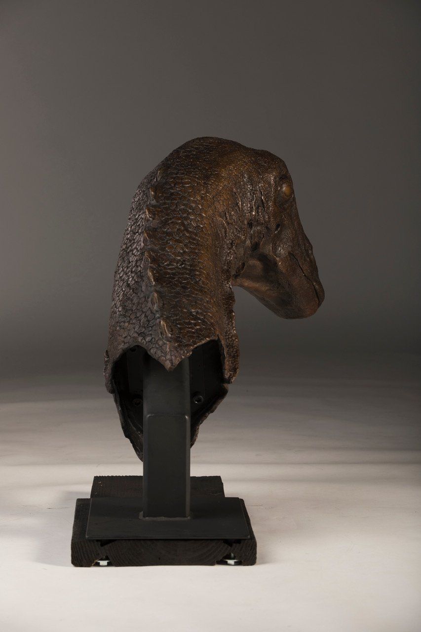 Galeamopus Bust rear view