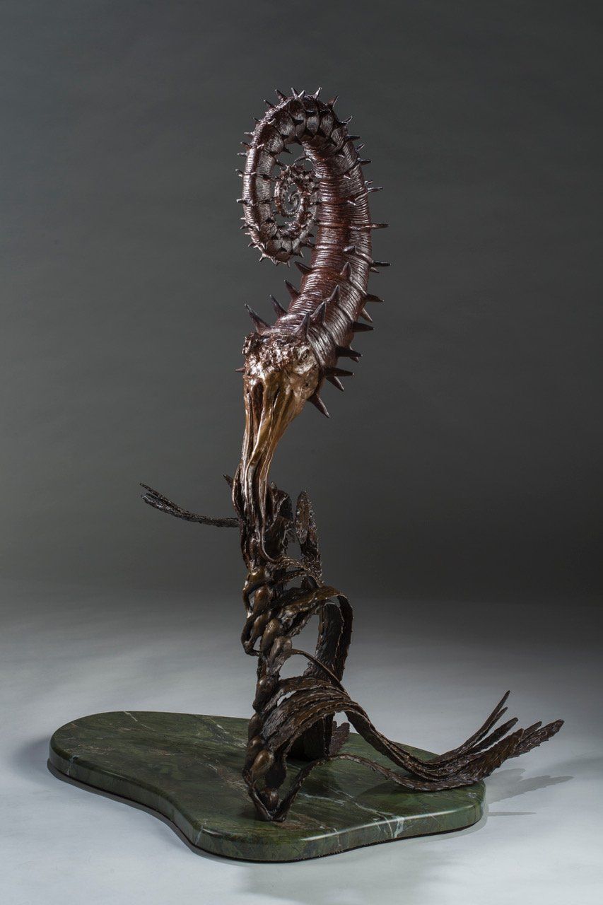 Heteromorphic Ammonites