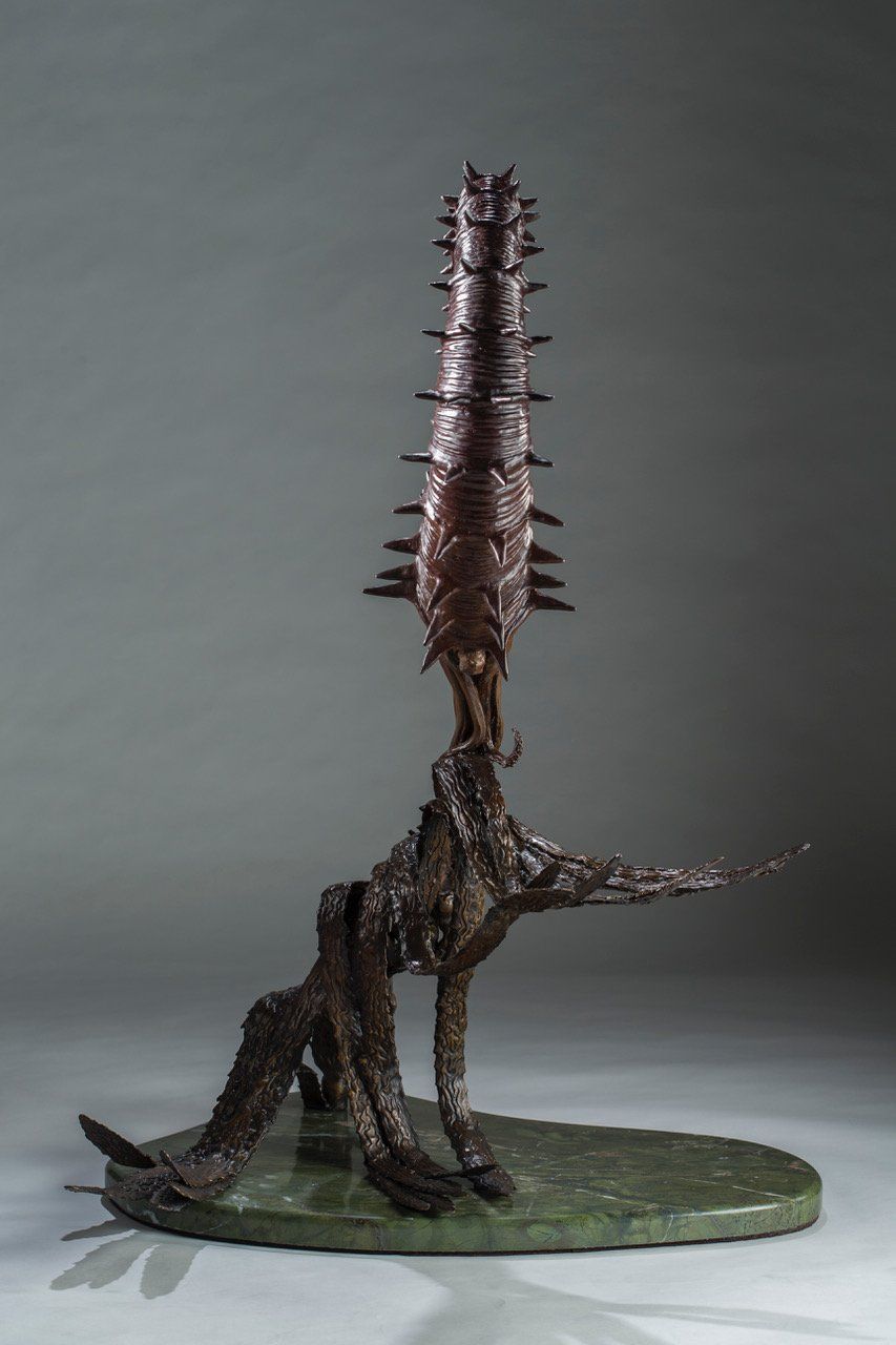 Heteromorphic Ammonites rar view