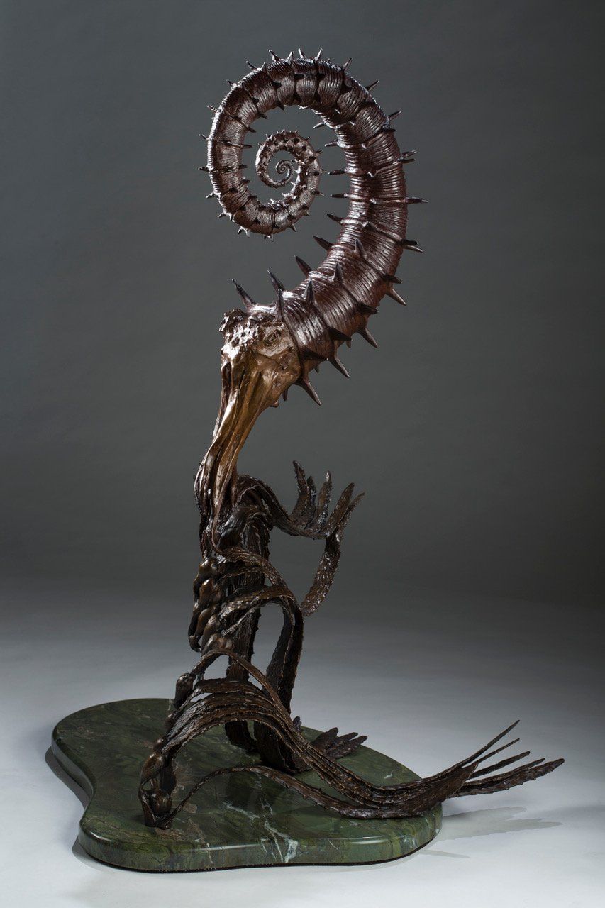 Heteromorphic Ammonites front view