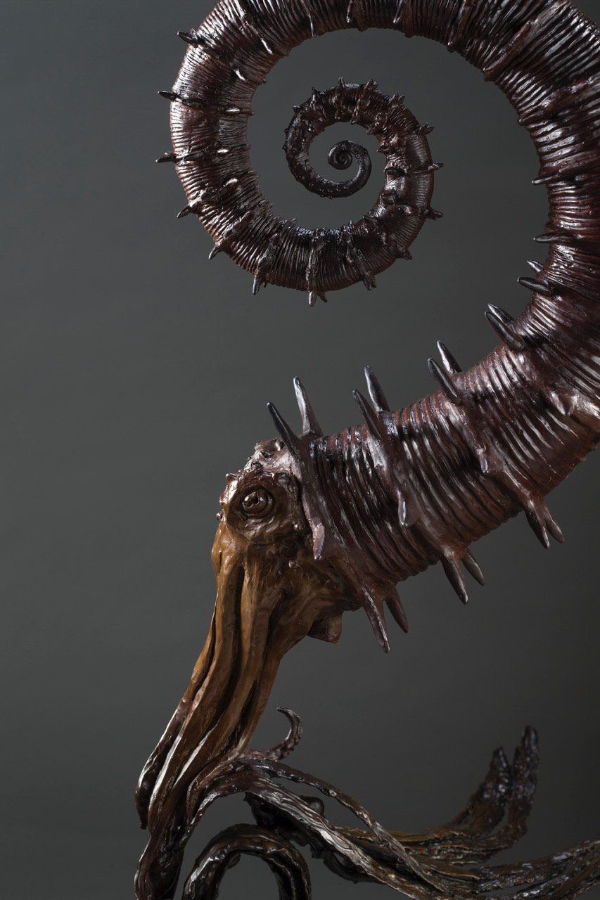 Heteromorphic Ammonites close up