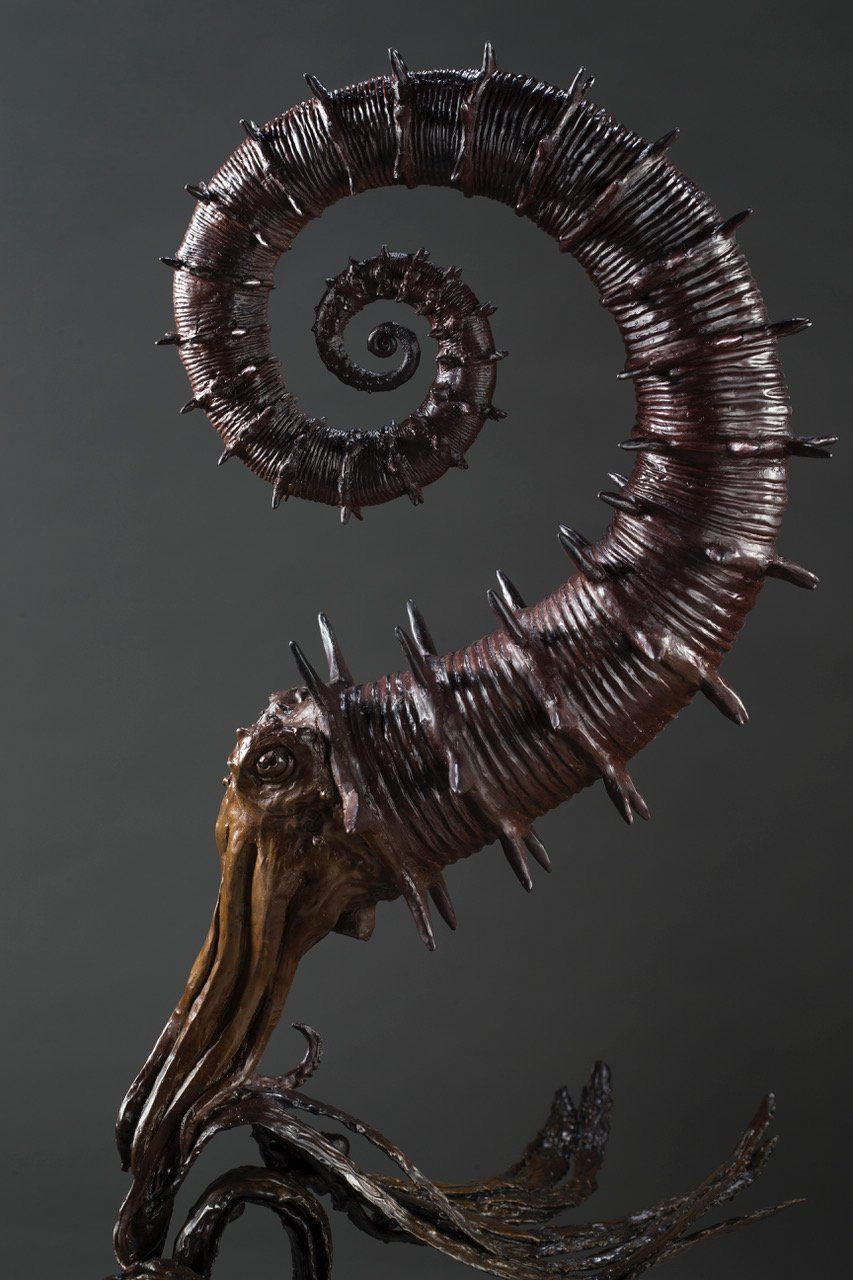 Heteromorphic Ammonites sculpture sideview