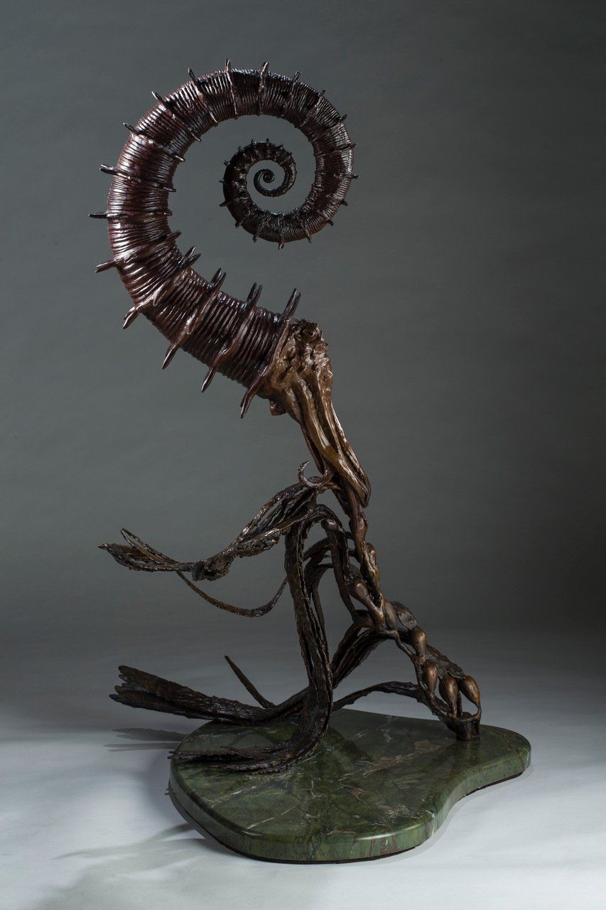 Heteromorphic Ammonites sculpture in bronze side view