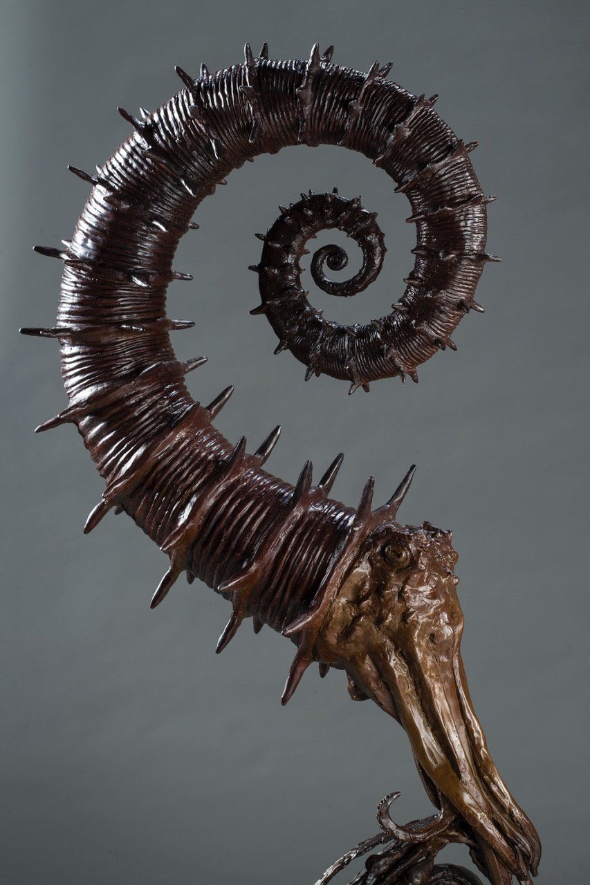 bronze sculpture of Heteromorphic Ammonites