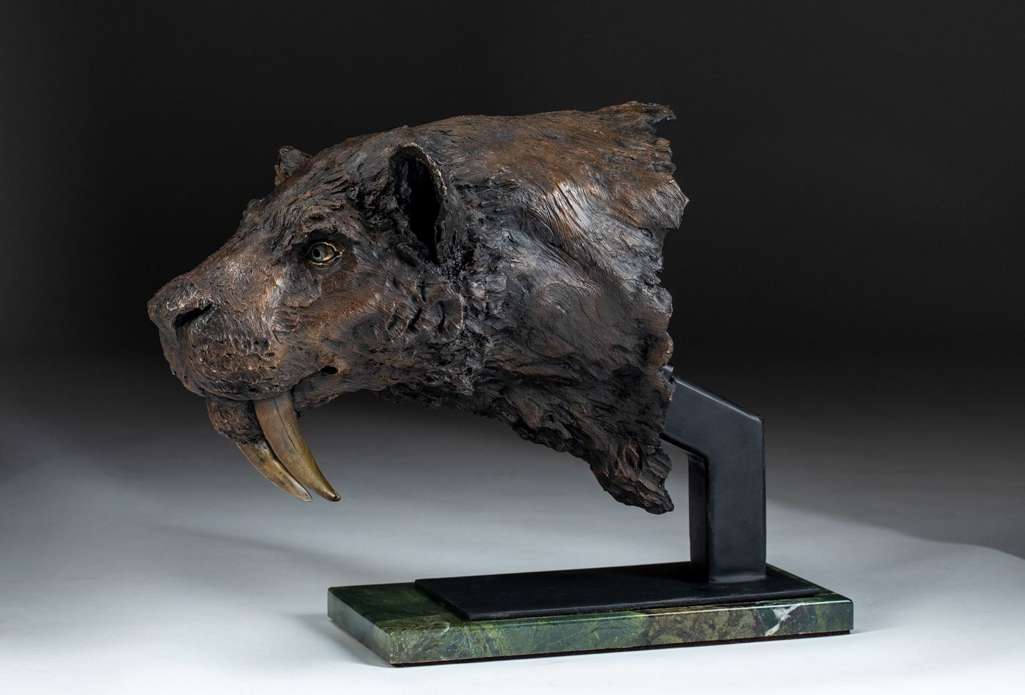 Smilodon fatalis sabertooth tiger sculpture