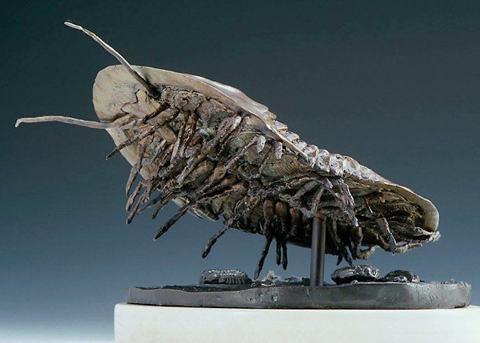 underneath Isotelus maximus, trilobite bronze sculpture
