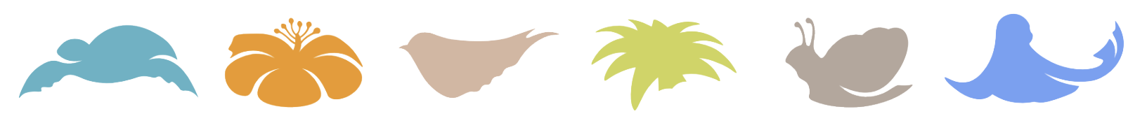 A row of colorful feathers and palm trees on a white background.