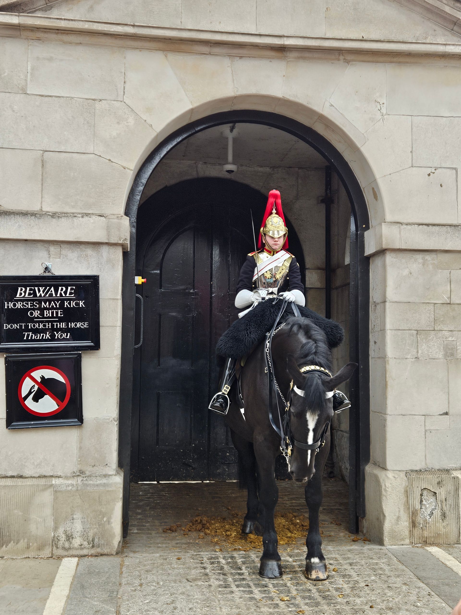 A mounted Household Cavalry soldier in ceremonial uniform at a gate in London.