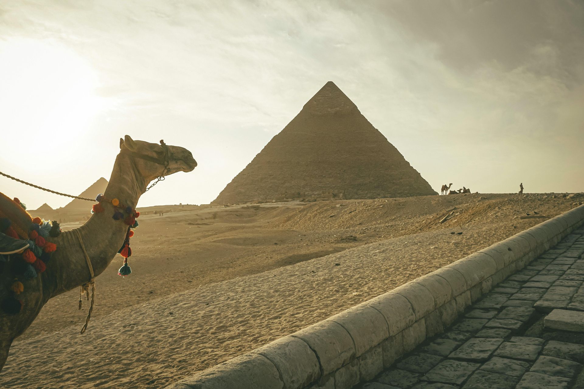Camel in foreground, Great Pyramid of Giza in the background, sandy desert landscape, bright sunlight.