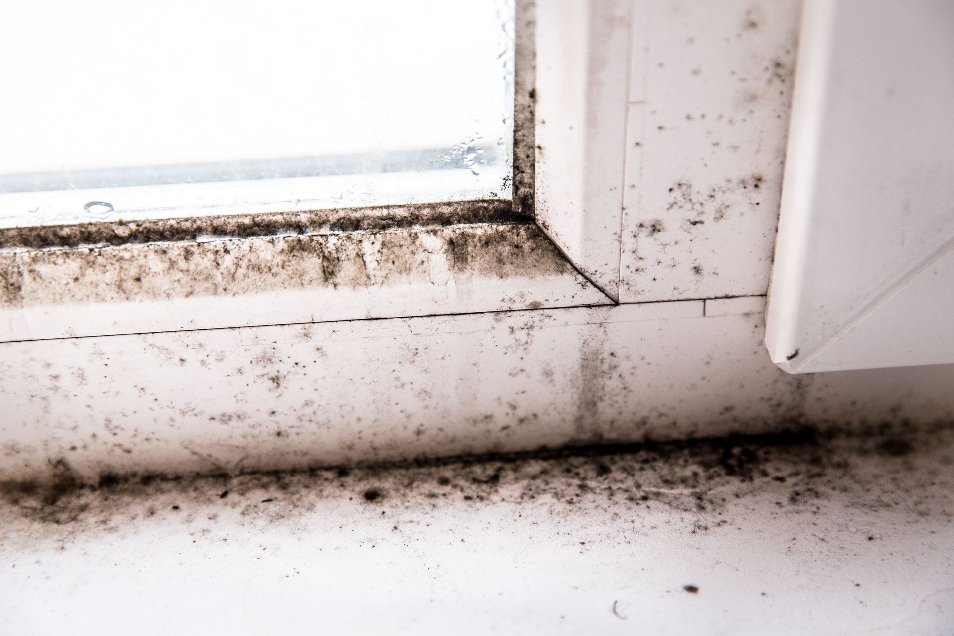 A close up of a dirty window sill with mold on it.